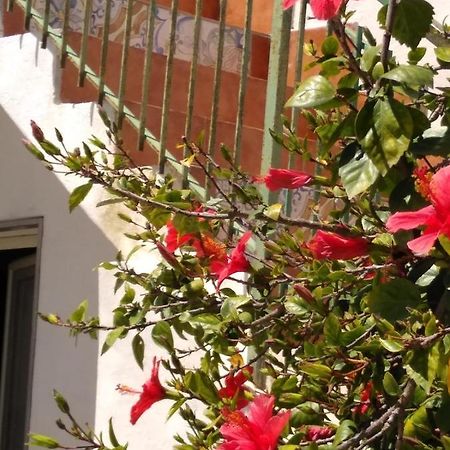 Casale Hibiscus Villa Santa Maria Del Focallo Eksteriør bilde